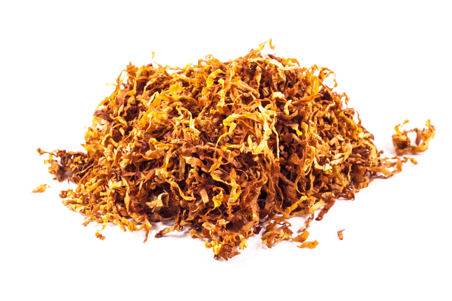 rfk jr tobacco pouch Nicotine pouches have been adopted by RFK Jr. and other MAHA influencers